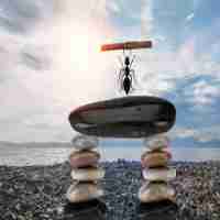 图‌片​识‍别﻿准‍确﻿率﻿